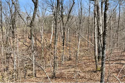 5260 Britt Whitmire Road, Gainesville, GA 30506 - Photo 19