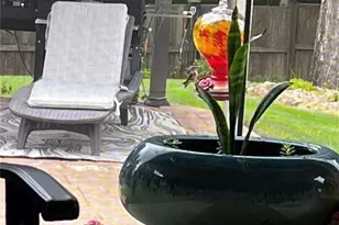 4046 Coosa Dr, Bonaire, GA 31005 - Photo 11