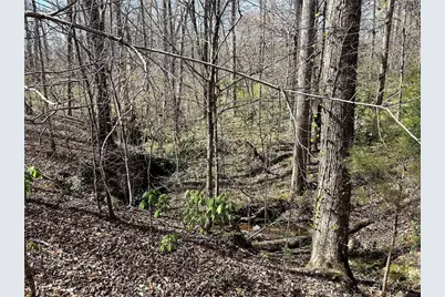 1125 Pecks Road, Dahlonega, GA 30533 - Photo 17