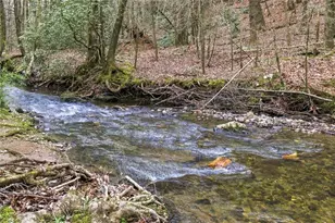 109 Clayton Gooch Rd, Dahlonega, GA 30533 - Photo 33