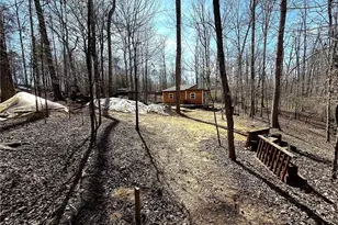 1125 Pecks Rd, Dahlonega, GA 30533 - Photo 13