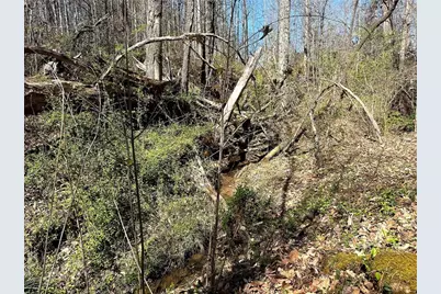 1125 Pecks Road, Dahlonega, GA 30533 - Photo 15