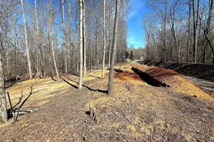 1125 Pecks Rd, Dahlonega, GA 30533 - Photo 35