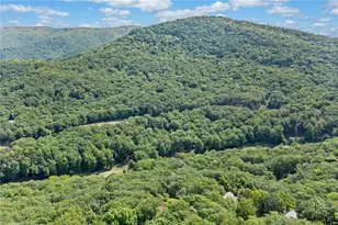 816 Alpine Dr, Jasper, GA 30143 - Photo 39