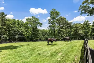 511 Dogwood Lake Trail, Alpharetta, GA 30004 - Photo 3