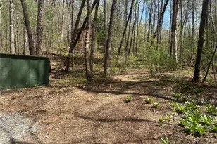 68 Star Lake Ln, Sautee Nacoochee, GA 30571 - Photo 35