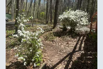 68 Star Lake Lane, Sautee Nacoochee, GA 30571 - Photo 37