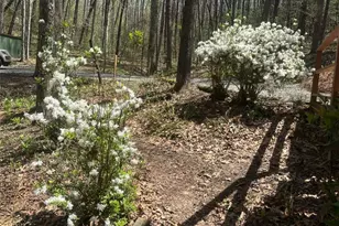 68 Star Lake Ln, Sautee Nacoochee, GA 30571 - Photo 37