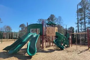 113 Oakchase Pk Ln, Hampton, GA 30228 - Photo 31