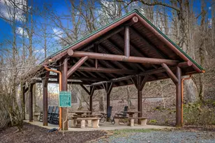 351 Toccoa Preserve Lane, Blue Ridge, GA 30513 - Photo 61