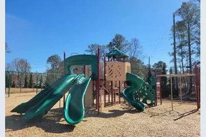 117 Oakchase Park Lane, Hampton, GA 30228 - Photo 43