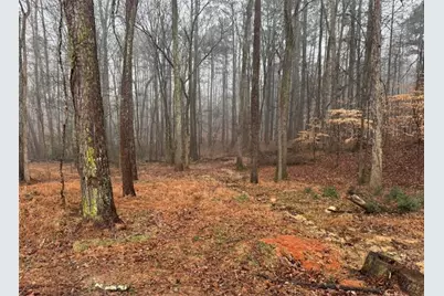 138 Oak Beach Drive SE, Acworth, GA 30101 - Photo 3