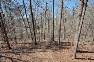 315 Stevens Creek Ct, Johns Creek, GA 30005 - Photo 73