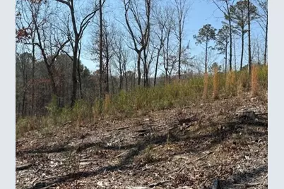 0 Timberline Trail, Talking Rock, GA 30175 - Photo 3