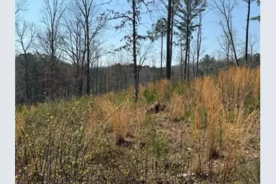 0 Timberline Trail, Talking Rock, GA 30175 - Photo 1