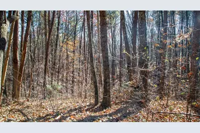 Lot 26 Waldrip Road, Dawsonville, GA 30534 - Photo 3