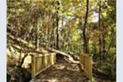 114 Eagle Heart Court, Waleska, GA 30183 - Photo 43