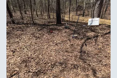 Lot38 Killdeer Lane, Monticello, GA 31064 - Photo 3