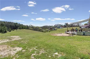 148 Henry Mack Hill Rd, Rydal, GA 30171 - Photo 59