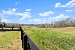 344 Gold Bullion Dr E, Dawsonville, GA 30534 - Photo 43