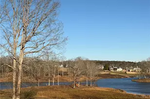 344 Gold Bullion Dr E, Dawsonville, GA 30534 - Photo 45