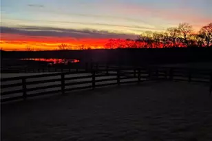 344 Gold Bullion Dr E, Dawsonville, GA 30534 - Photo 43