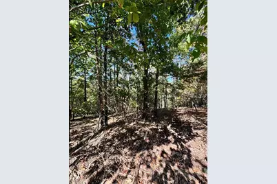 0 Vista View Parkway, Jasper, GA 30143 - Photo 9