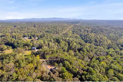 940 Essic Road, Ball Ground, GA 30107 - Photo 45