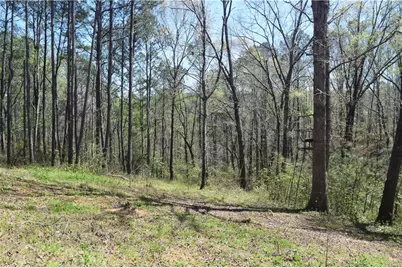 940 Essic Road, Ball Ground, GA 30107 - Photo 37