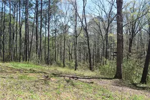 940 Essic Rd, Ball Ground, GA 30107 - Photo 37