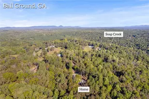 940 Essic Rd, Ball Ground, GA 30107 - Photo 41