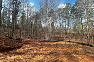 239 Principal Meridian Dr, Dallas, GA 30132 - Photo 11