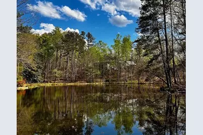 12555 Celestine Way, Roswell, GA 30075 - Photo 51