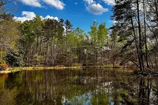 12555 Celestine Wy, Roswell, GA 30075 - Photo 51