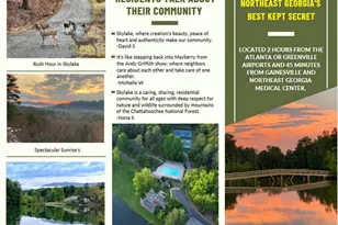 120 Hawks Nest, Sautee Nacoochee, GA 30571 - Photo 33