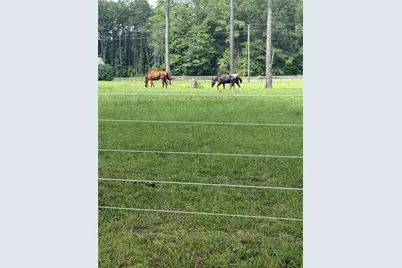 950 Island Shoals Road, Jackson, GA 30233 - Photo 19