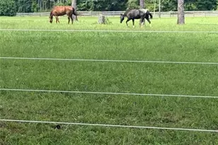 950 Island Shoals Rd, Jackson, GA 30233 - Photo 19