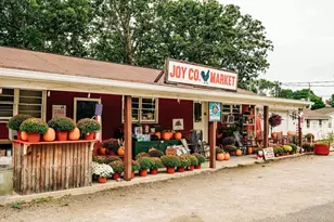 383 Scarlett Rose Way, Hoschton, GA 30548 - Photo 69