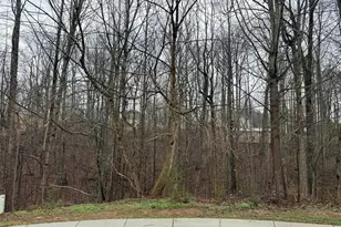 4638 Enfield Dr, Gainesville, GA 30506 - Photo 1