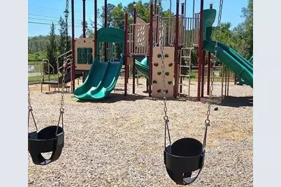 310 Friendship Oak Way, Hampton, GA 30228 - Photo 39