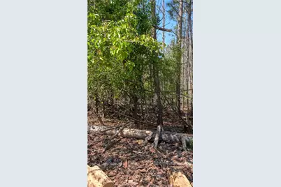 3641 Serenity Lane, Lithonia, GA 30038 - Photo 3