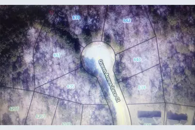 838 Queen Annes Lace Court, Fairburn, GA 30213 - Photo 5