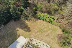 100 Chandler Ln, Loganville, GA 30052 - Photo 59