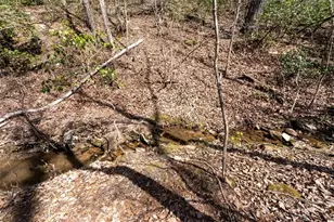 0 Mulberry Circle, Jasper, GA 30143 - Photo 3