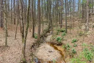 2195 E Maddox Rd, Buford, GA 30519 - Photo 81