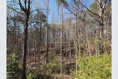 13298 Hwy 53 W, Fairmount, GA 30139 - Photo 41