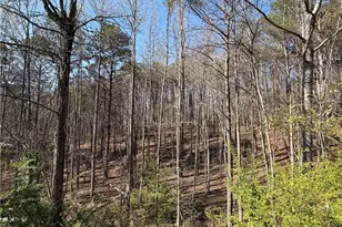 13298 Hwy 53 W, Fairmount, GA 30139 - Photo 41