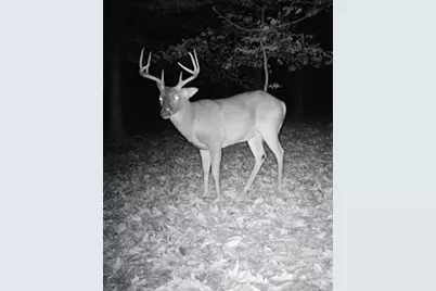 582 Temple Draketown Road, Temple, GA 30179 - Photo 75