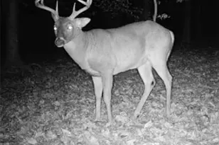 582 Temple Draketown Rd, Temple, GA 30179 - Photo 75