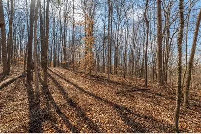 582 Temple Draketown Road, Temple, GA 30179 - Photo 65